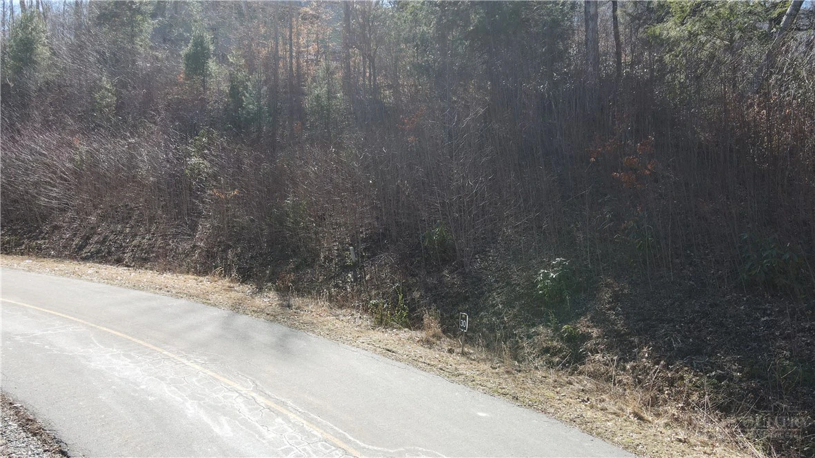 Image number 8 for the current listing
