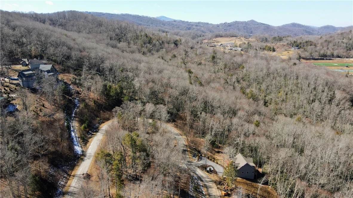 Image number 12 for the current listing