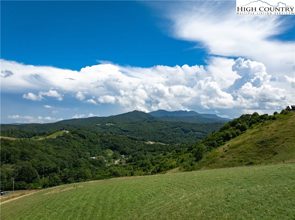 Image number 1 for the current listing