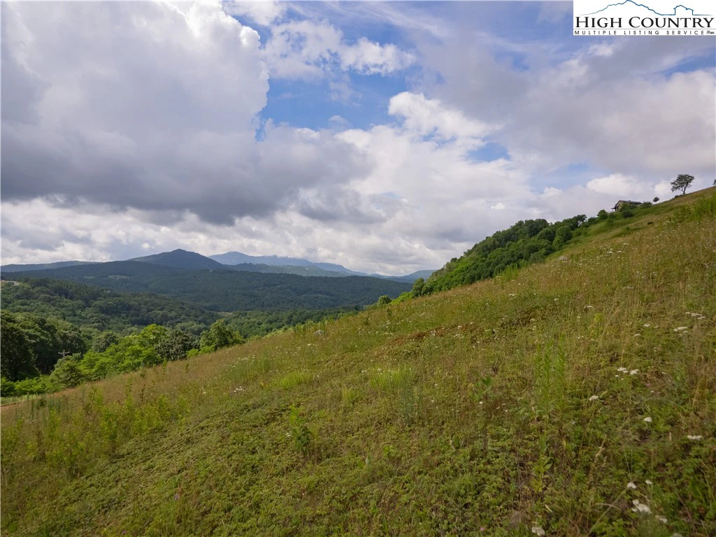 Image number 18 for the current listing
