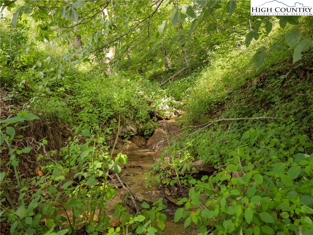 Image number 19 for the current listing