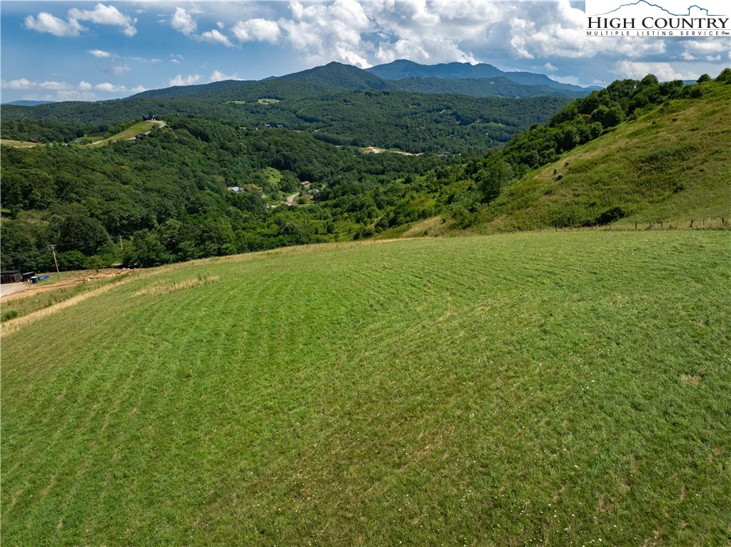 Image number 7 for the current listing