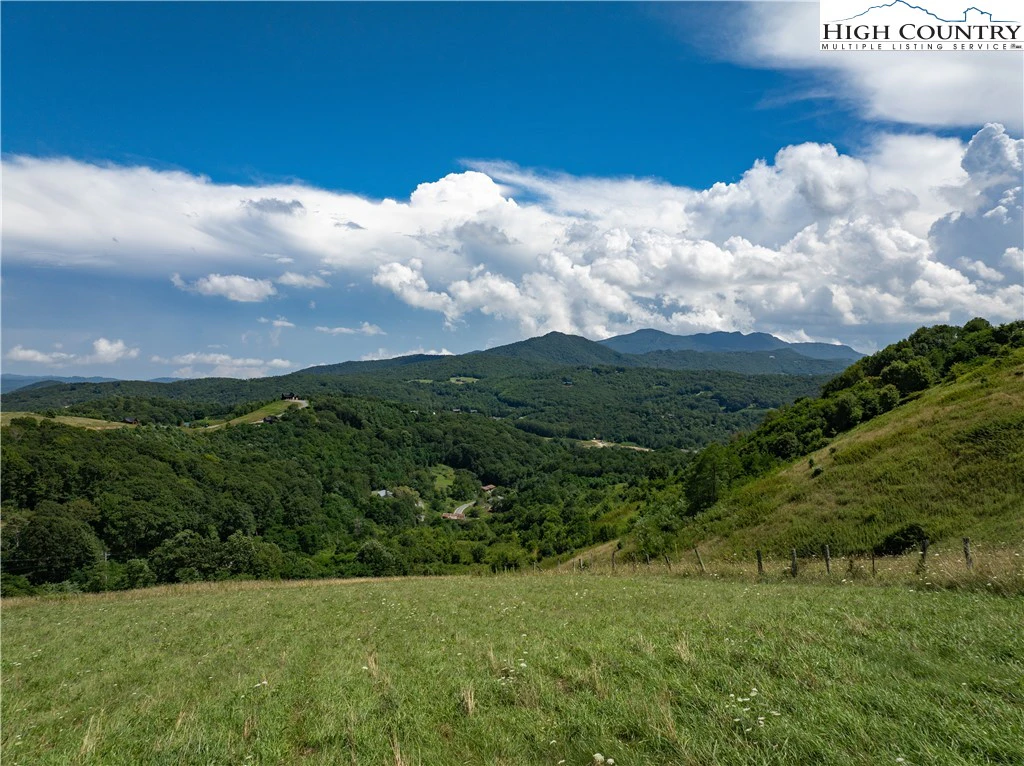 Image number 4 for the current listing
