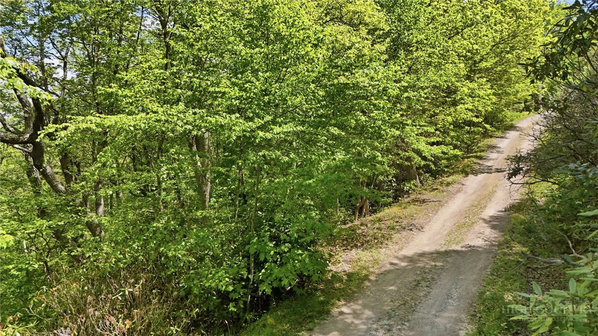 Image number 3 for the current listing