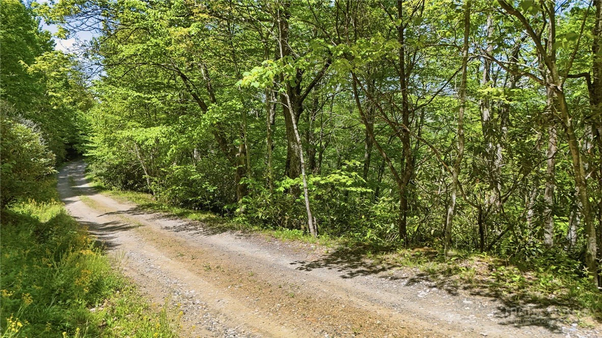 Image number 6 for the current listing