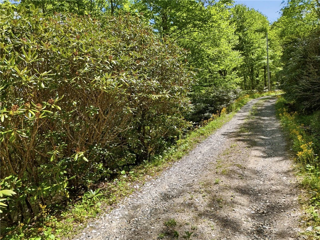 Image number 8 for the current listing