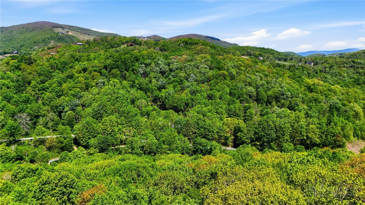 Image number 11 for the current listing