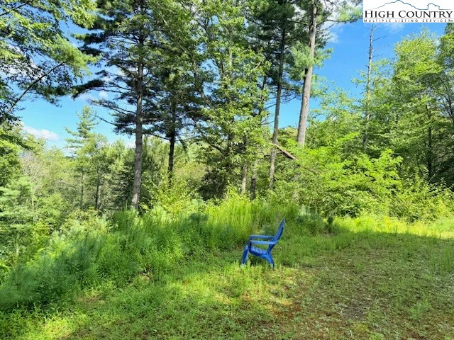 Image number 5 for the current listing