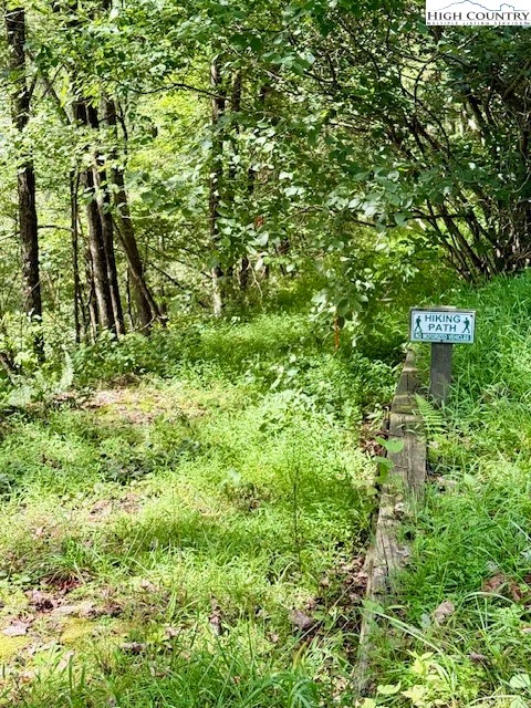 Image number 9 for the current listing