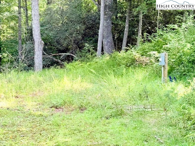 Image number 1 for the current listing