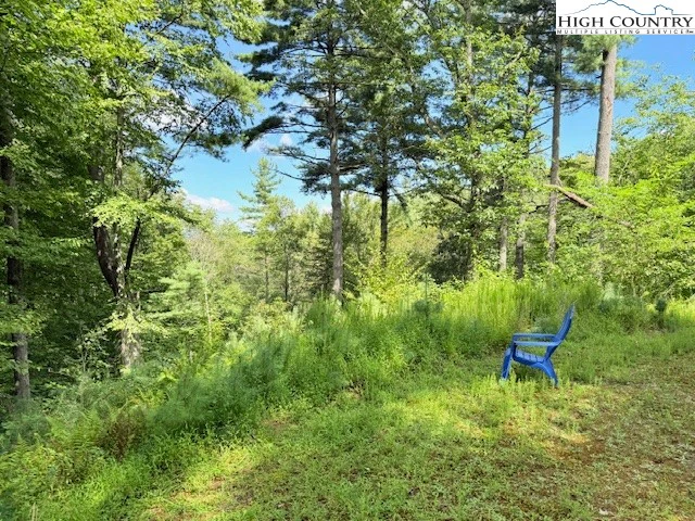Image number 10 for the current listing