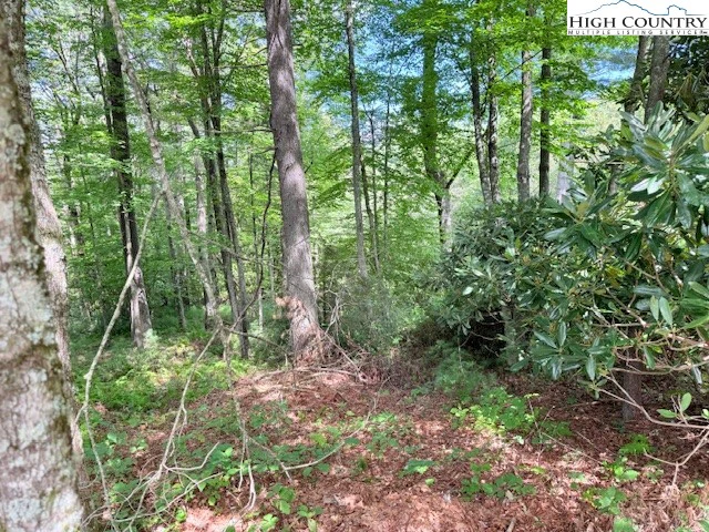 Image number 13 for the current listing