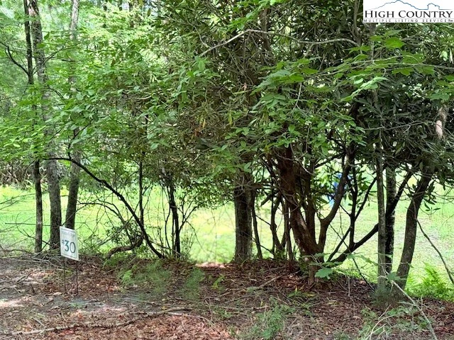 Image number 11 for the current listing
