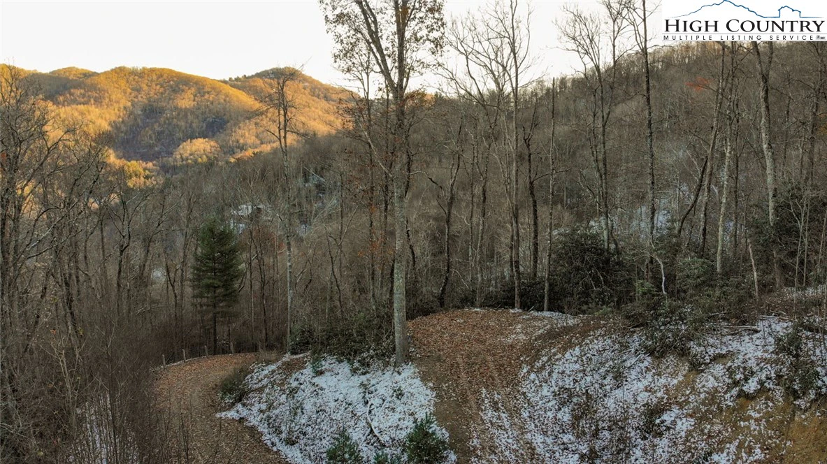 Image number 1 for the current listing