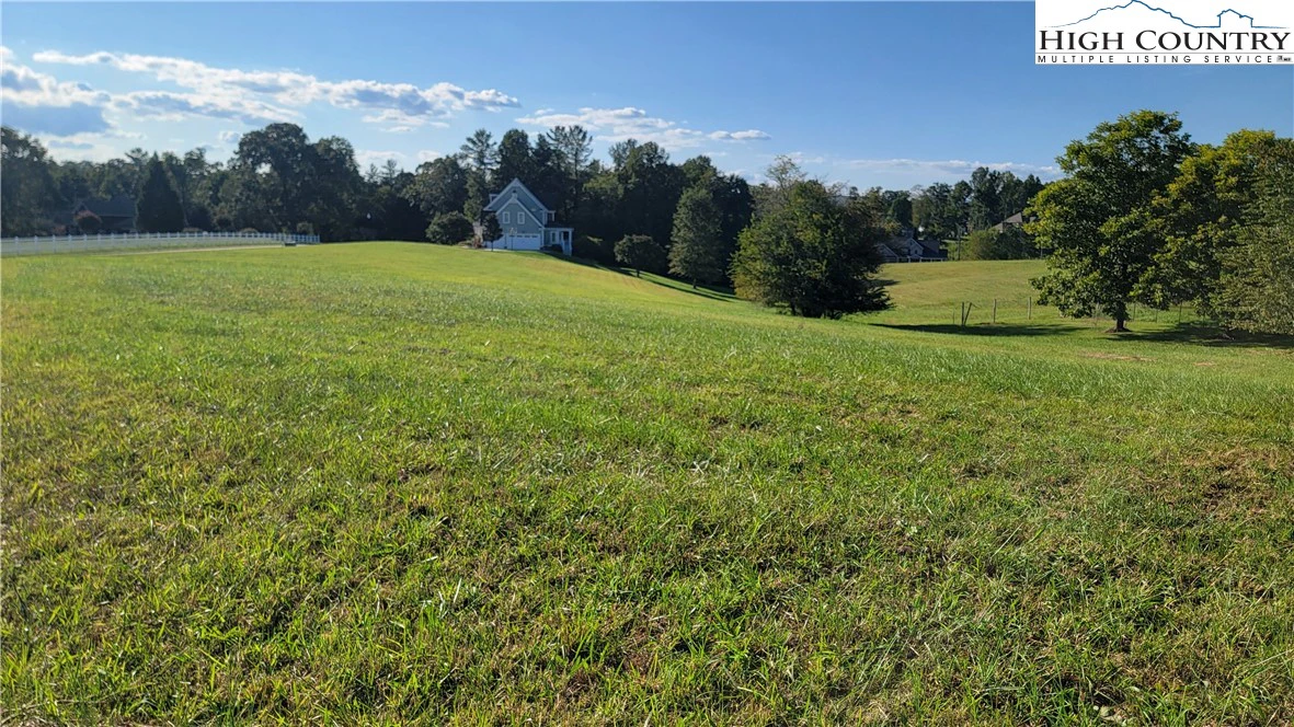 Image number 1 for the current listing