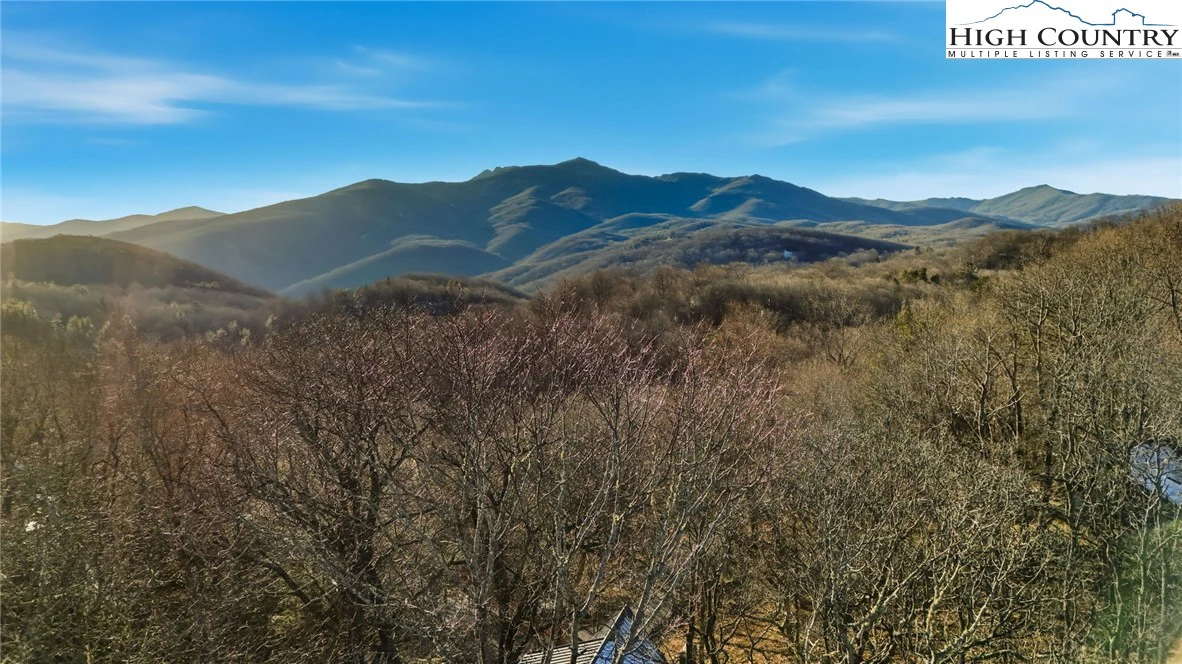 Image number 4 for the current listing