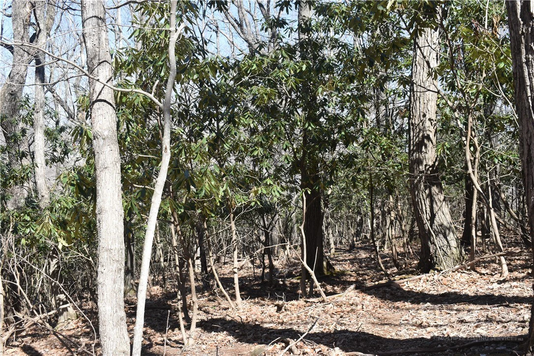 Image number 1 for the current listing