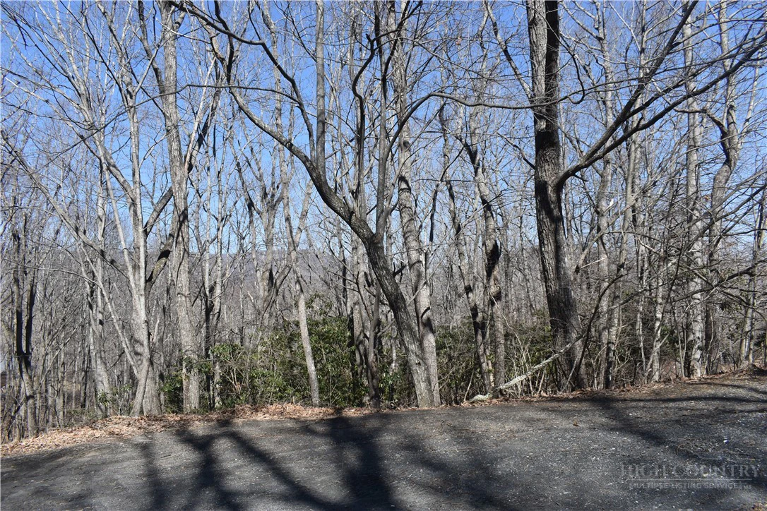 Image number 3 for the current listing