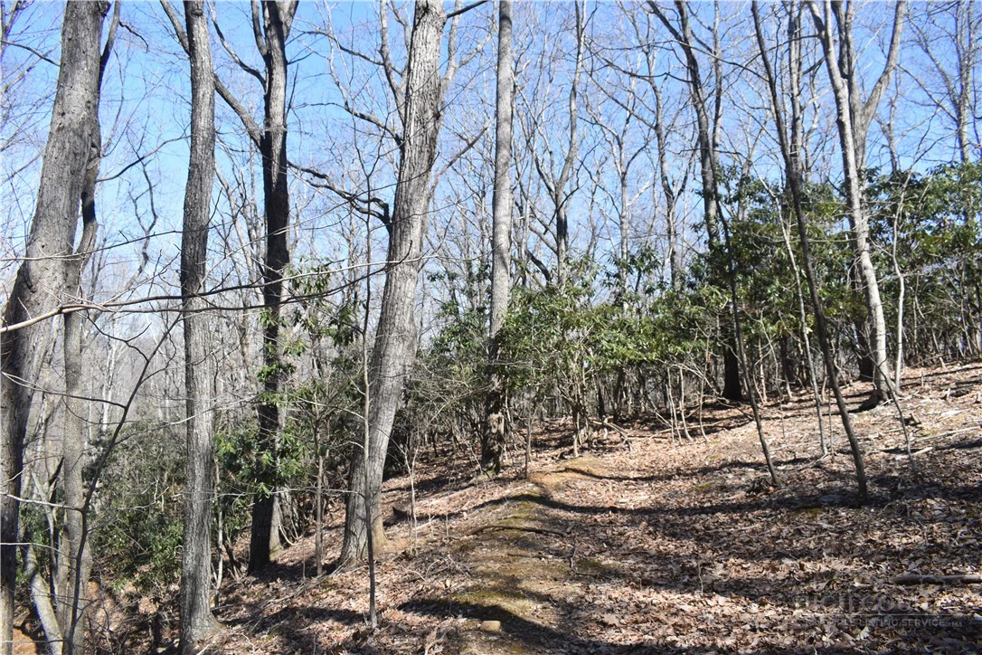 Image number 5 for the current listing