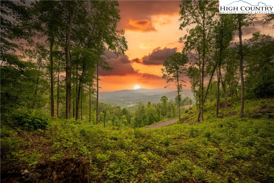Image number 1 for the current listing