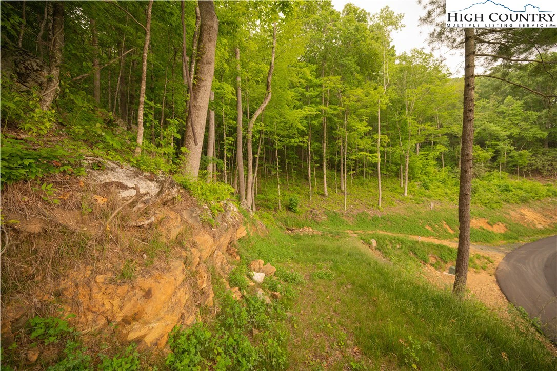 Image number 18 for the current listing