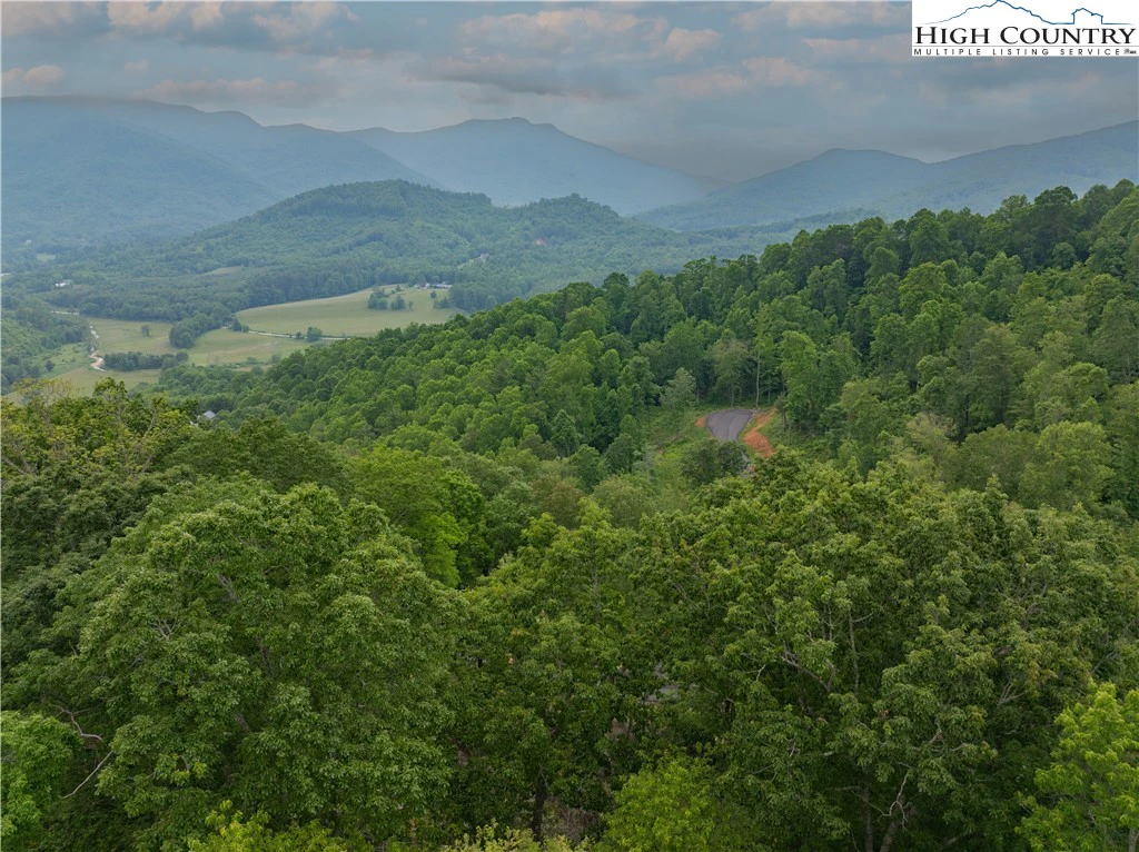 Image number 12 for the current listing