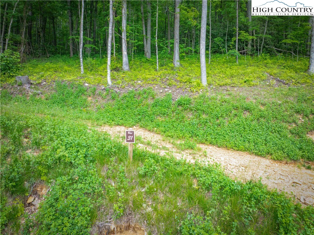 Image number 2 for the current listing