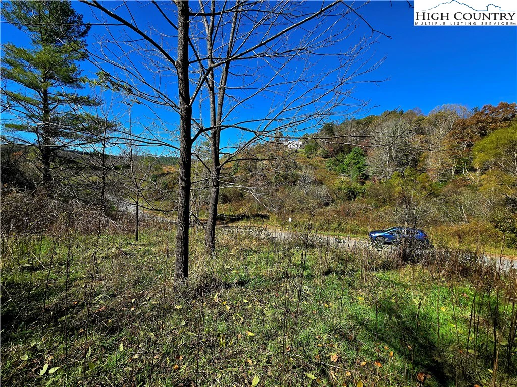 Image number 10 for the current listing
