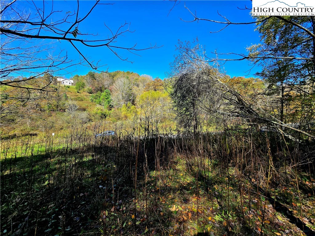 Image number 11 for the current listing