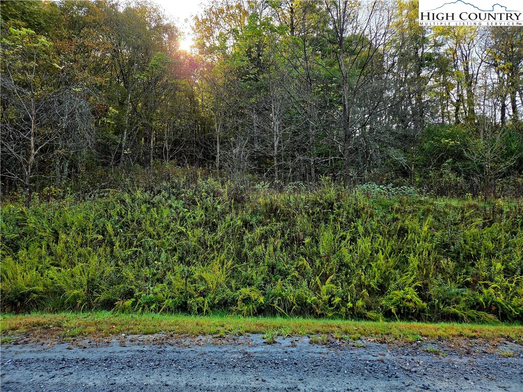 Image number 1 for the current listing