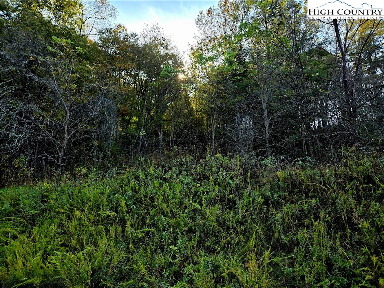 Image number 3 for the current listing