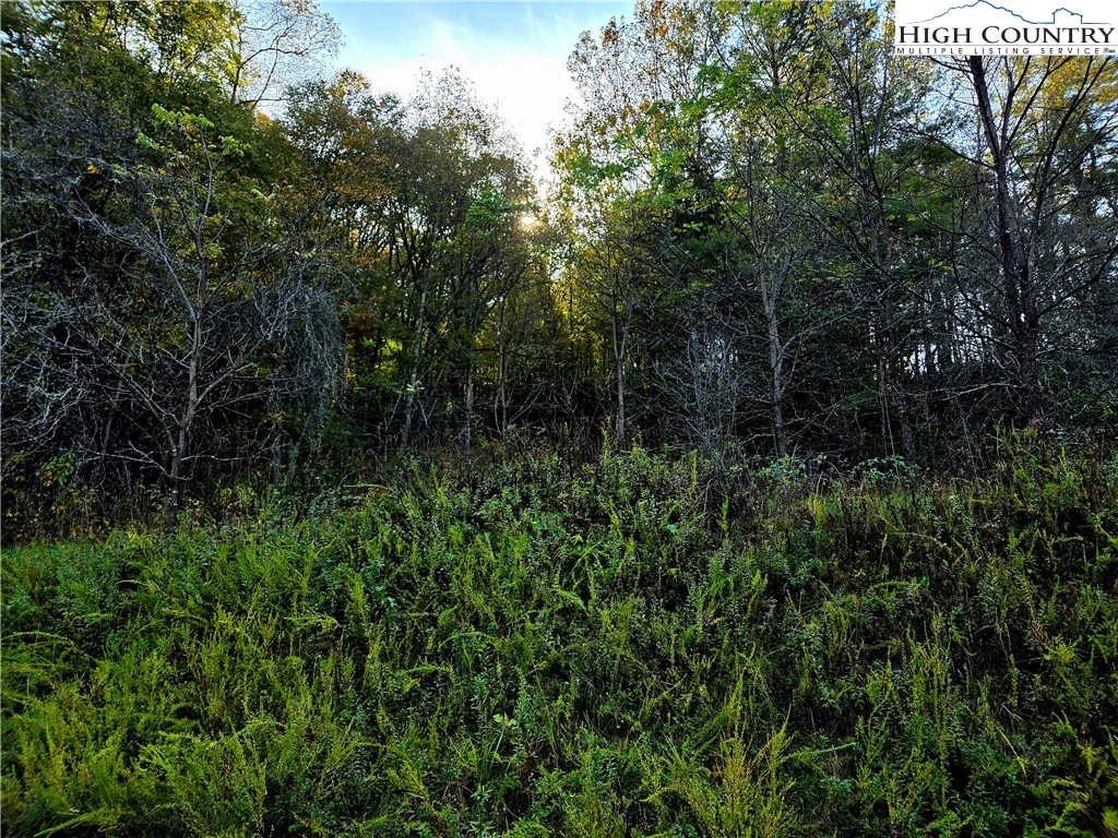 Image number 3 for the current listing