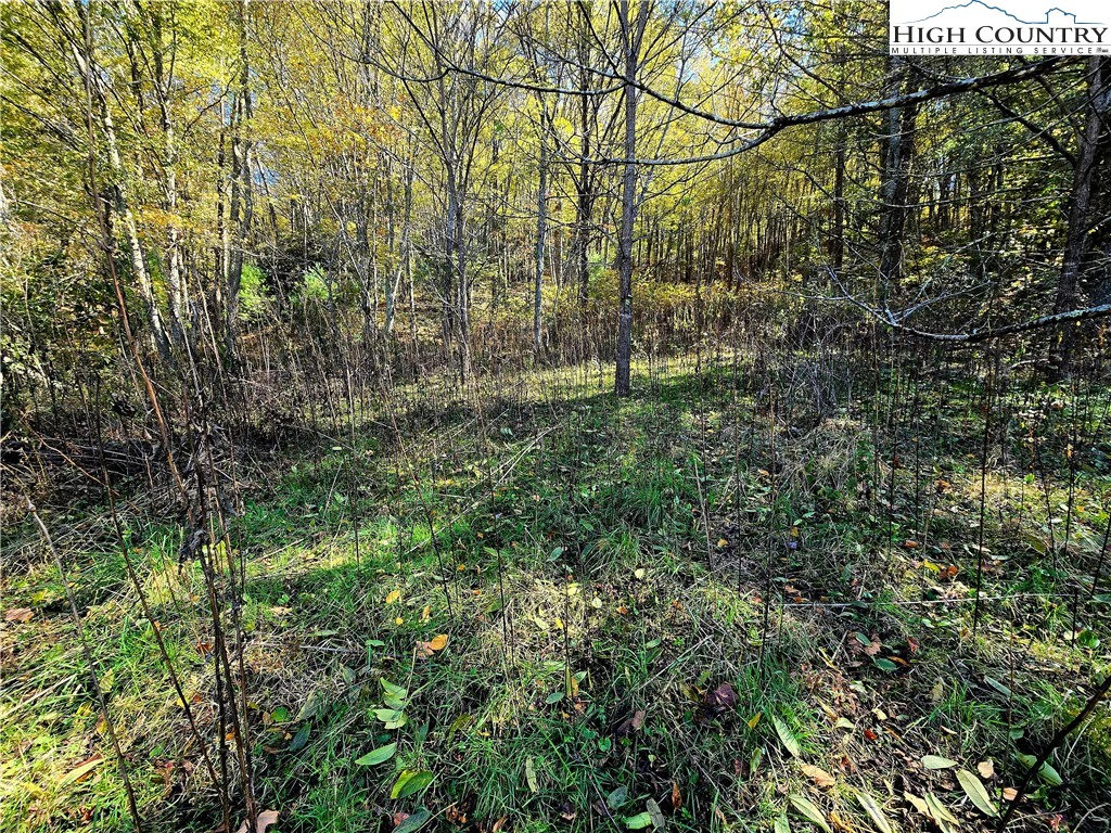 Image number 4 for the current listing
