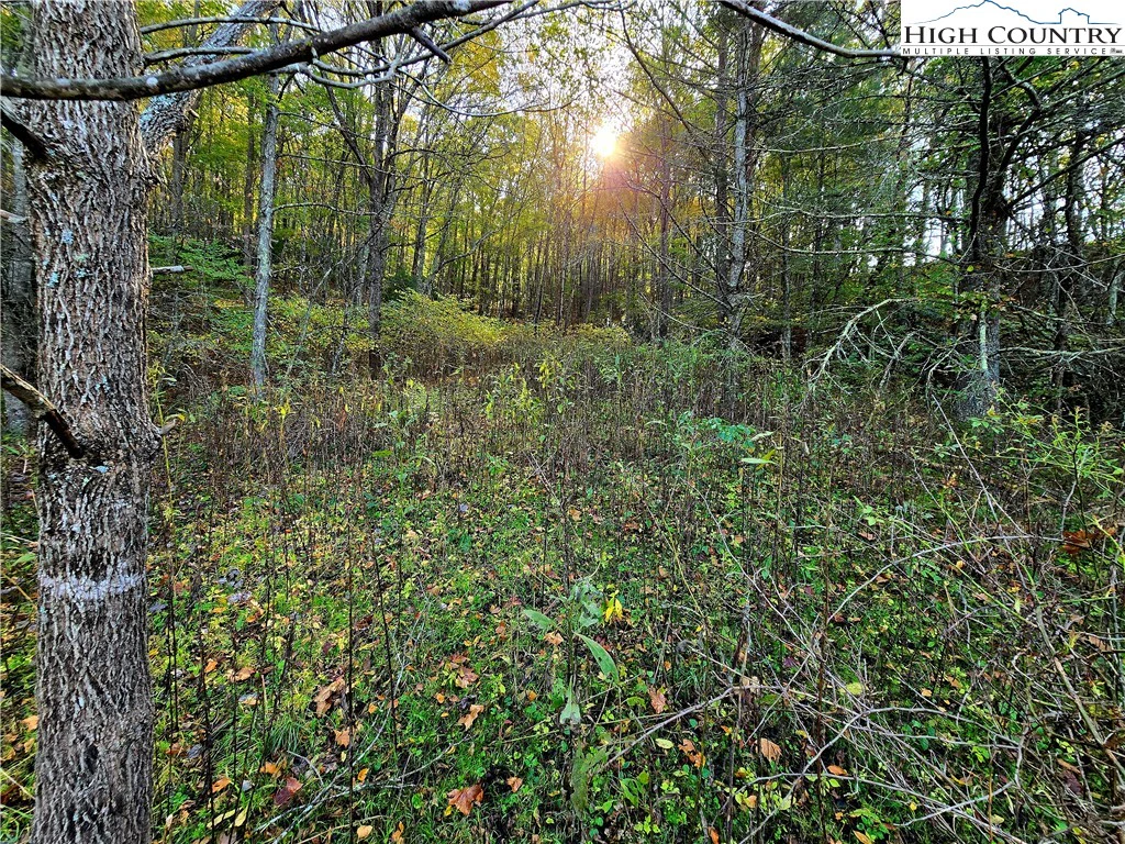 Image number 5 for the current listing