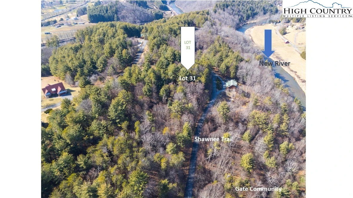 Image number 1 for the current listing