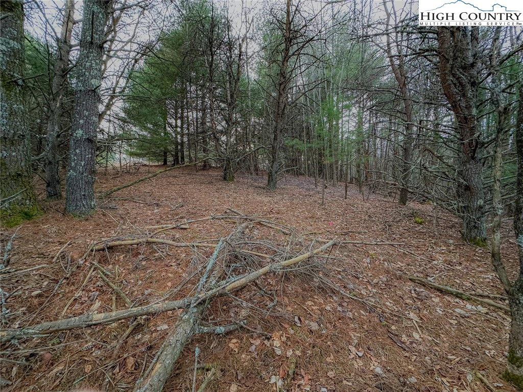 Image number 9 for the current listing