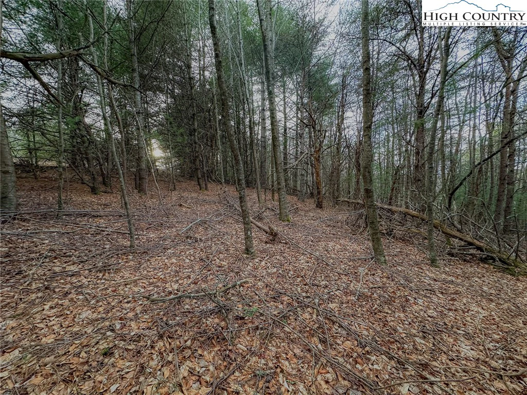 Image number 10 for the current listing
