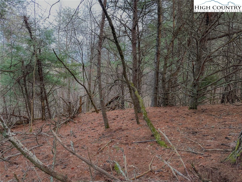 Image number 11 for the current listing