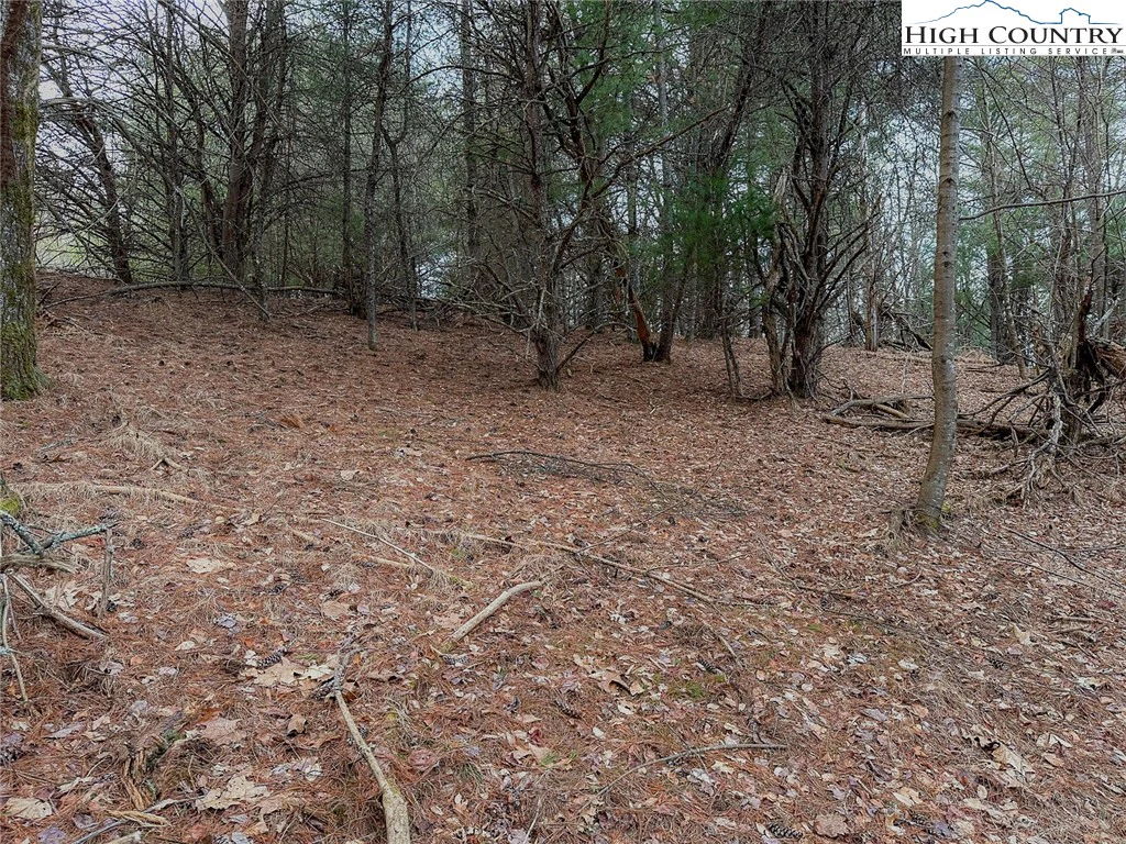 Image number 12 for the current listing