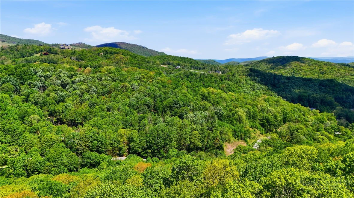 Image number 5 for the current listing
