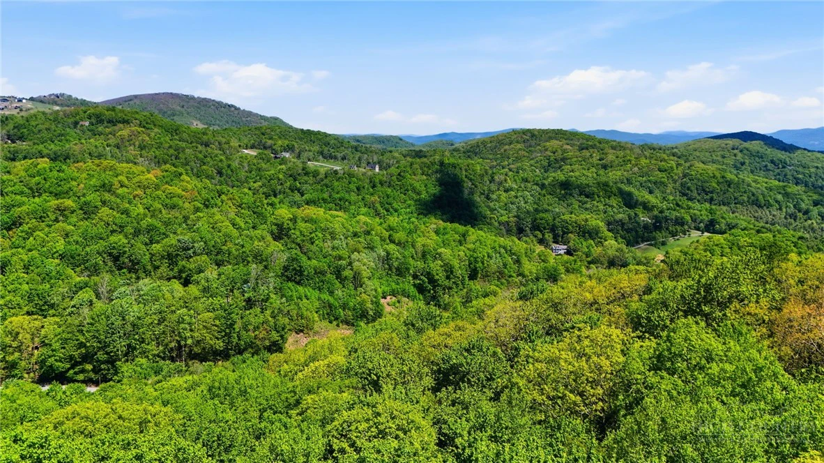 Image number 10 for the current listing