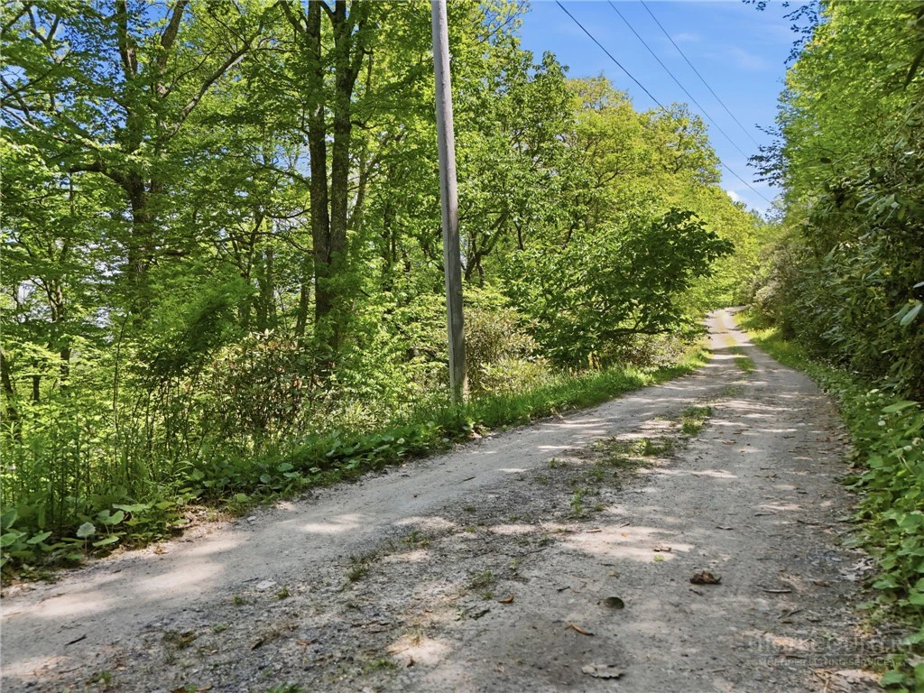 Image number 13 for the current listing