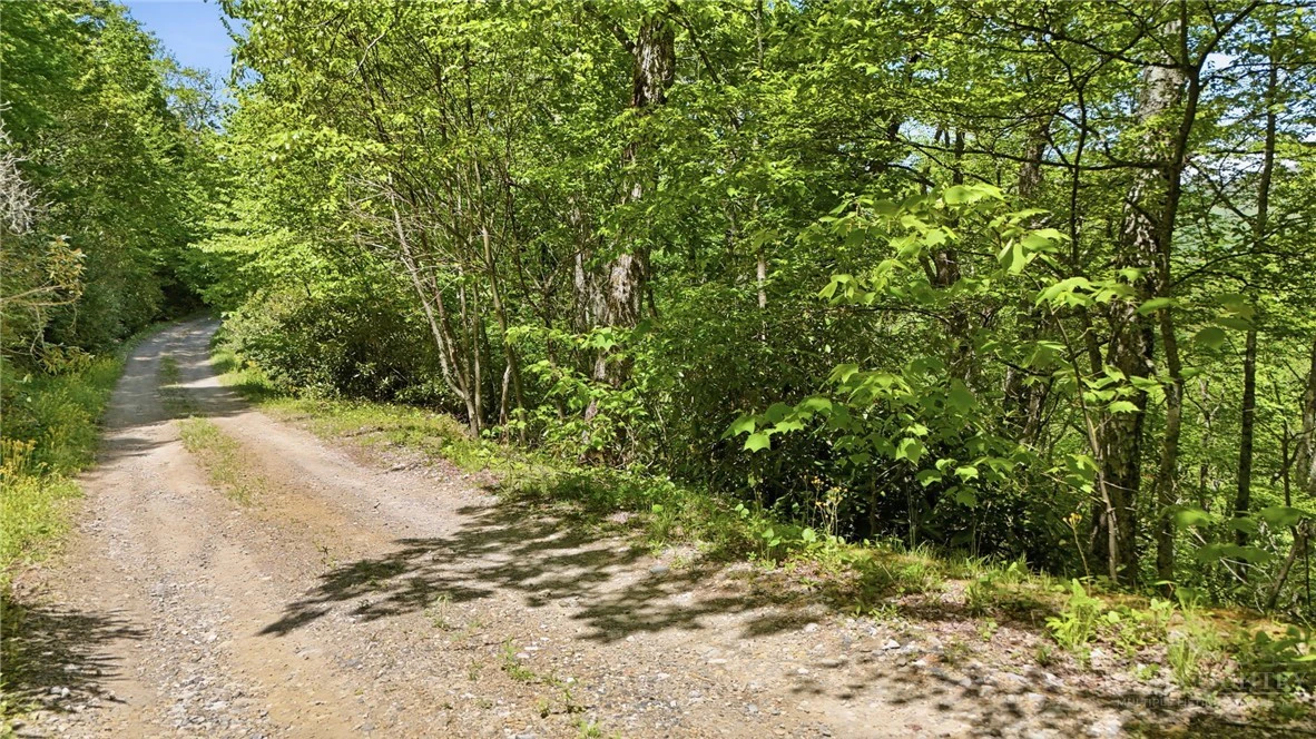 Image number 18 for the current listing