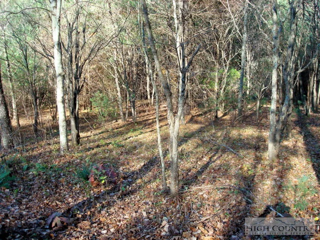 Image number 1 for the current listing