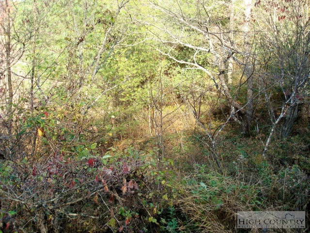Image number 3 for the current listing
