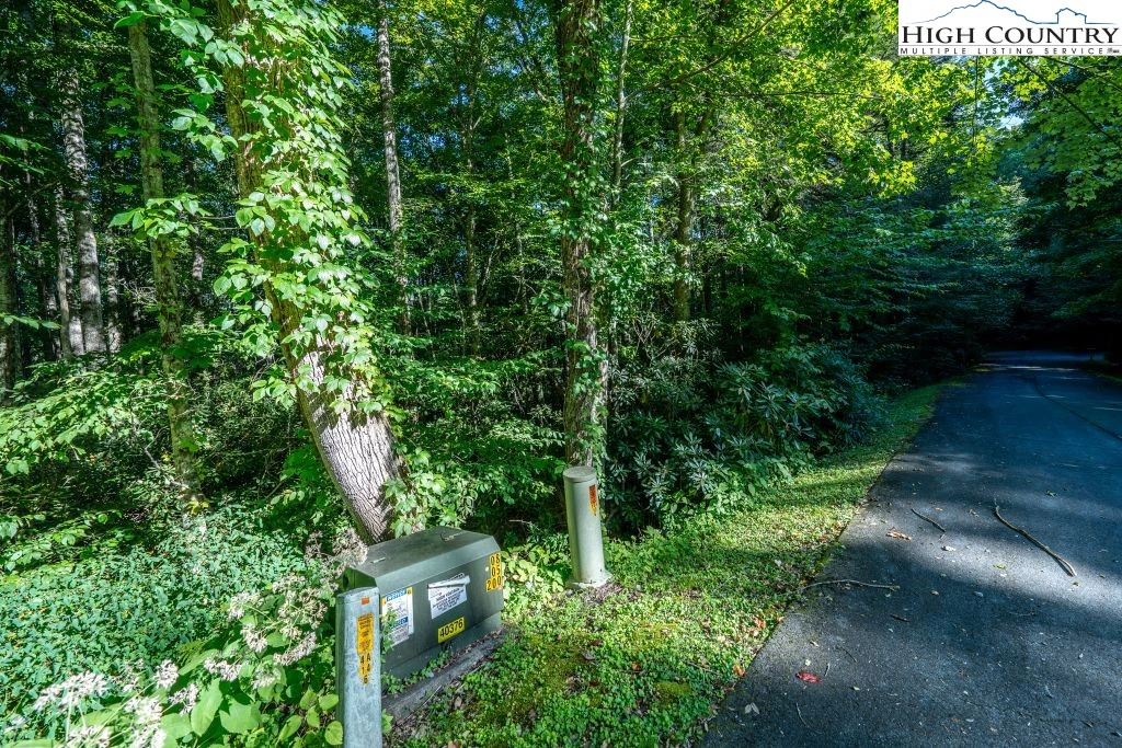 Image number 1 for the current listing
