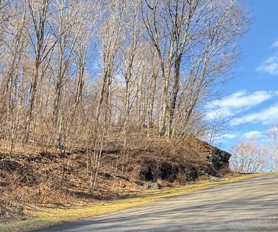 Image number 1 for the current listing