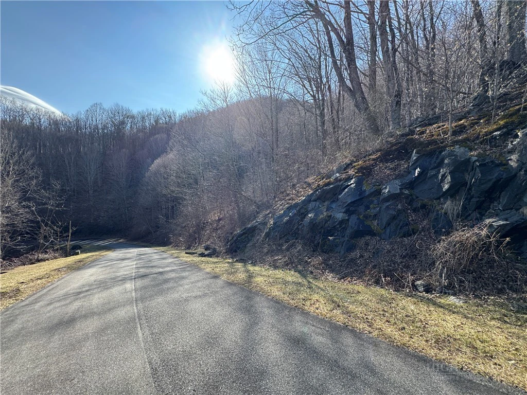 Image number 2 for the current listing