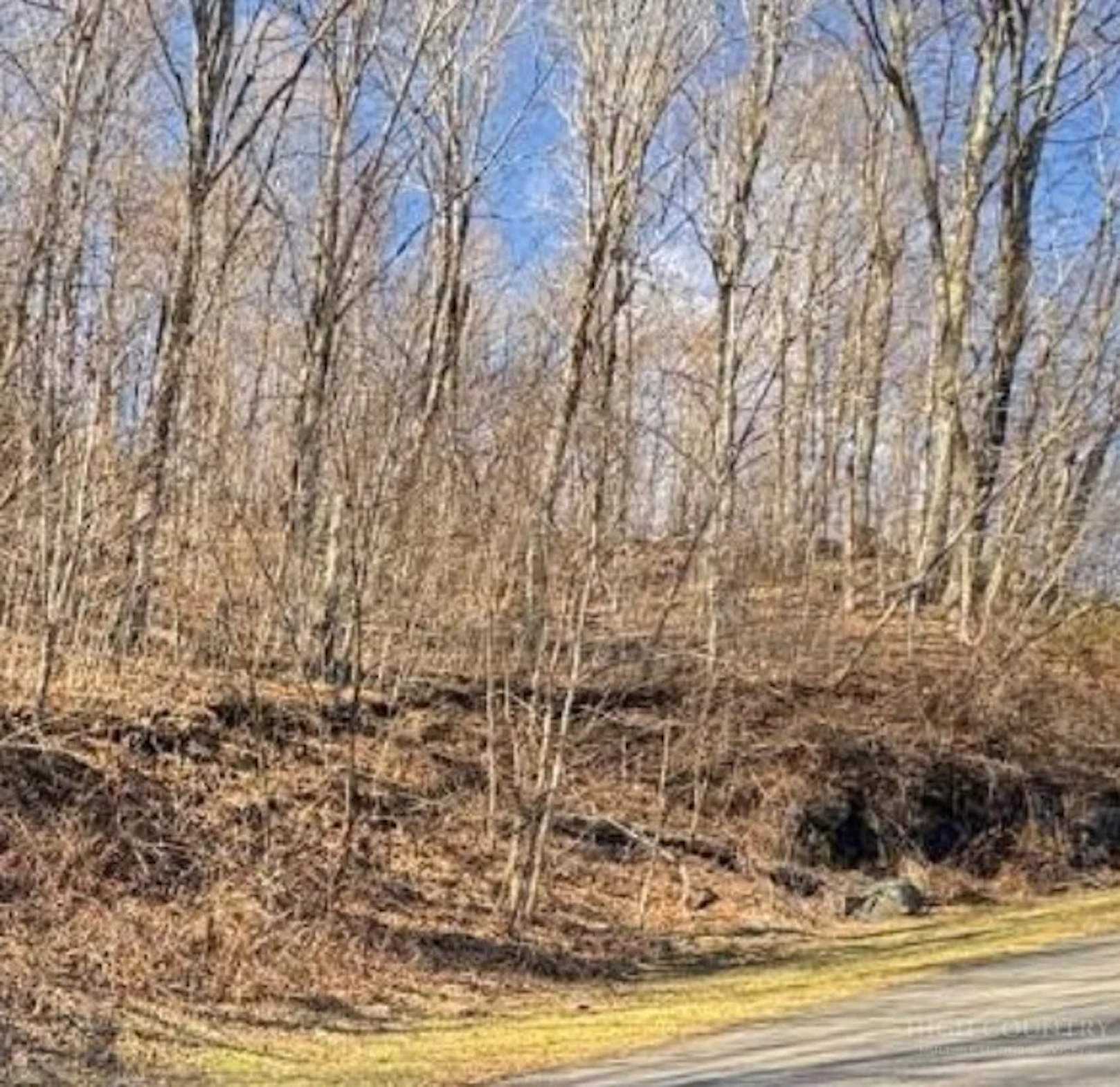 Image number 1 for the current listing