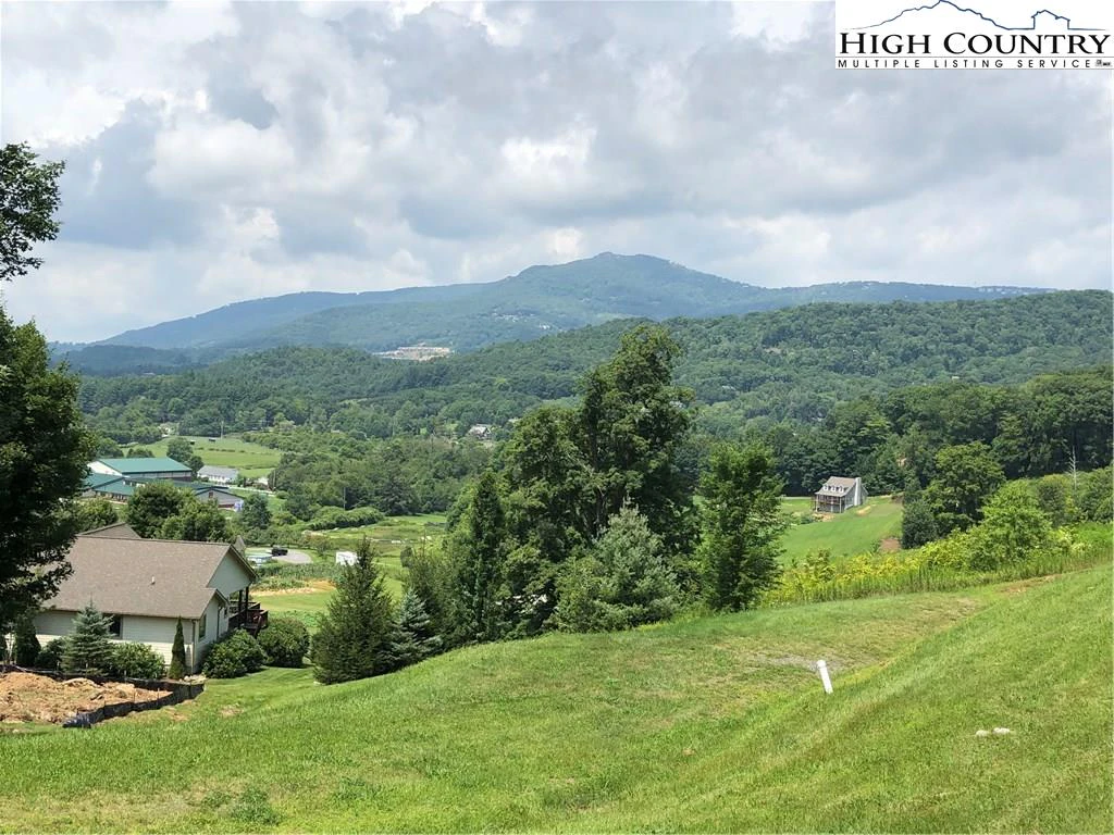 Image number 1 for the current listing